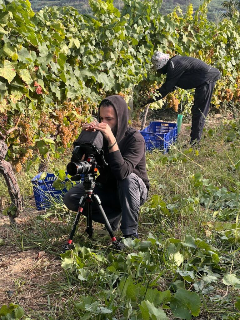 sala inmsersiva, innovación, paisaje, experiencia, vino 