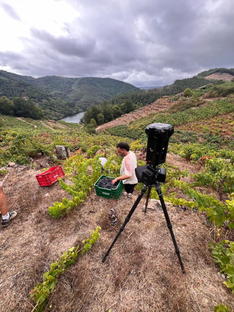 sala inmsersiva, innovación, paisaje, experiencia, vino 